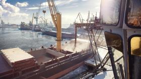 «Совэкон» ожидает снижения экспорта российской пшеницы в декабре